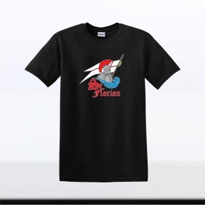 stf001